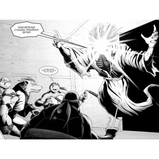 Рассказы о Черепашках-Ниндзя. Книга 5. Пантеон (суперобложка)