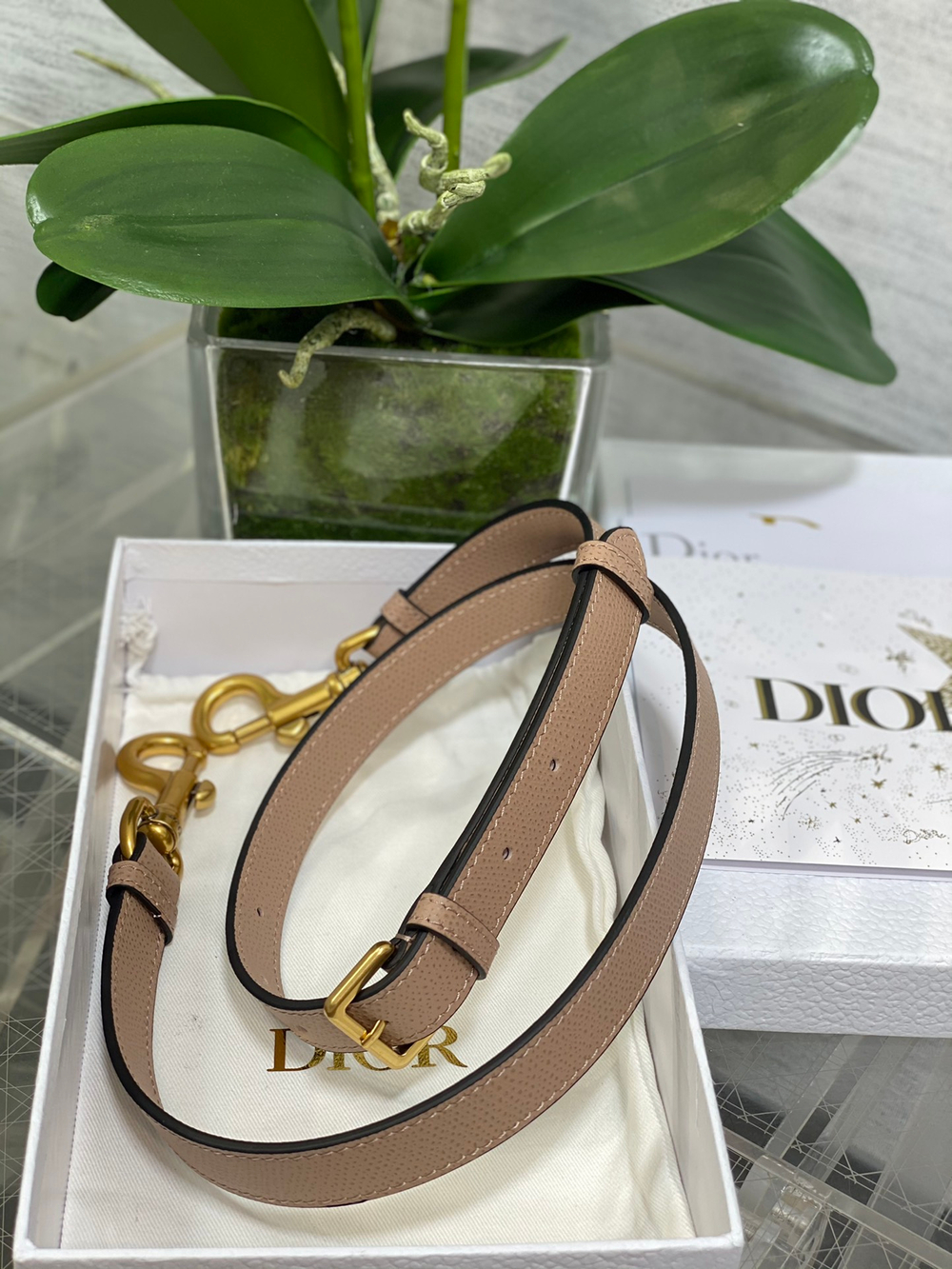 Christian Dior Saddle Bag with Strap