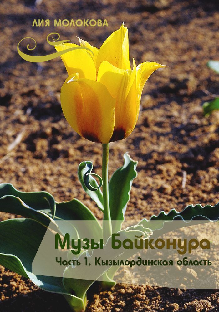 Музы Байконура. Часть 1 Кызылординская область (Электронная книга)