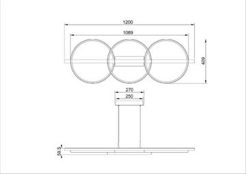 Подвесная люстра 44W 2700-6000K A3913SP-24BK черный Fluido Arte Lamp