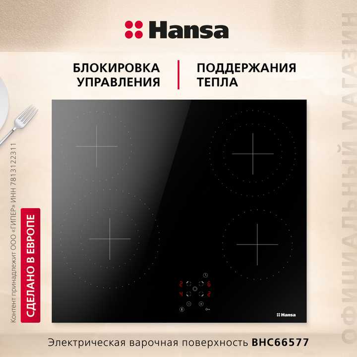 Электрическая панель Hansa BHC66577