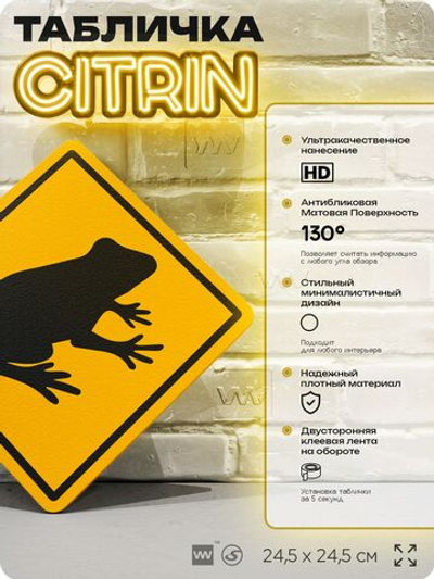 Табличка прикольная "Осторожно, лягушка" на дверь и стену, информационная и предупреждающая, декоративный знак, 24,5х24,5 см, пластиковая, Айдентика Технолоджи