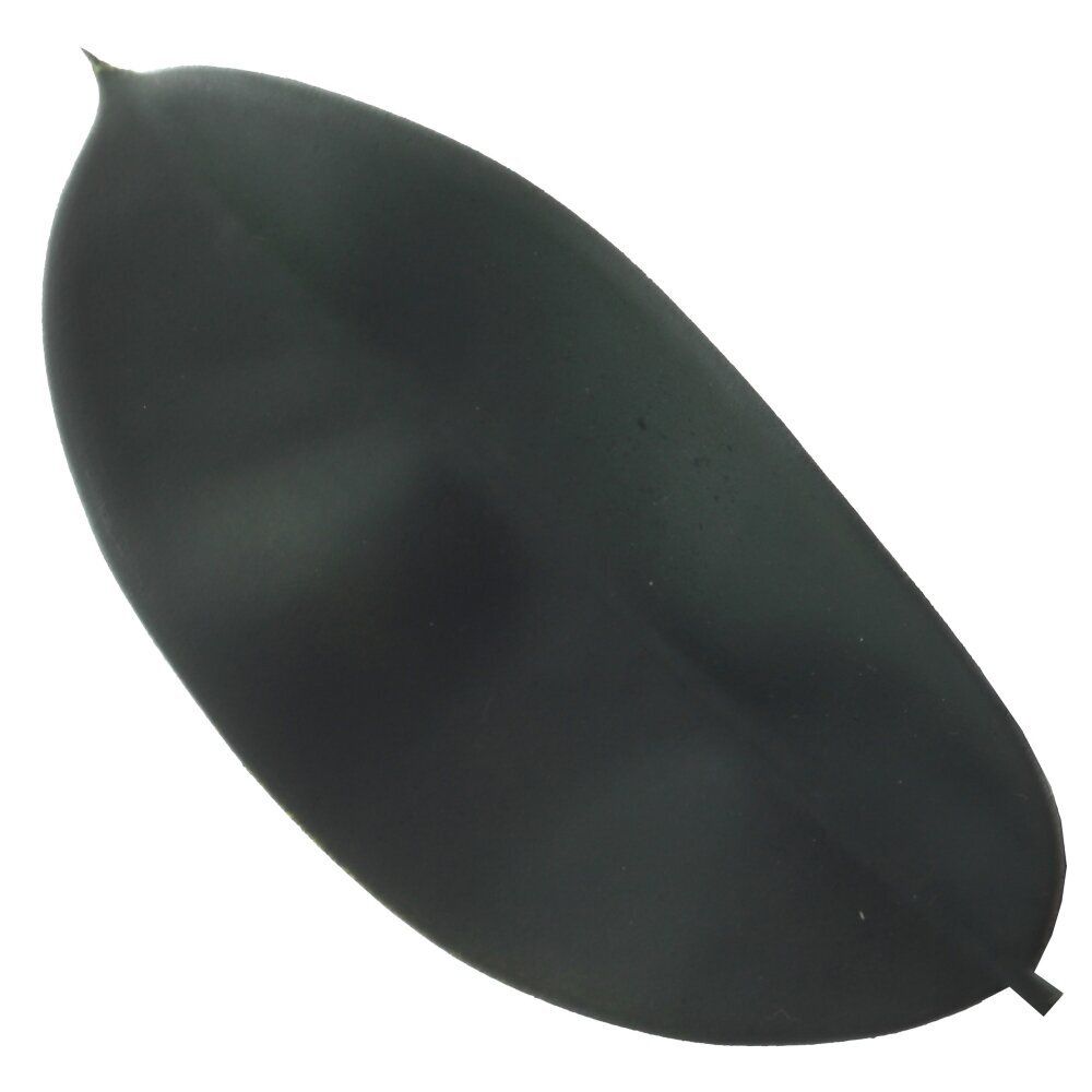 GAEM Цветочная композиция "Фикус", L35 W35 H111 см