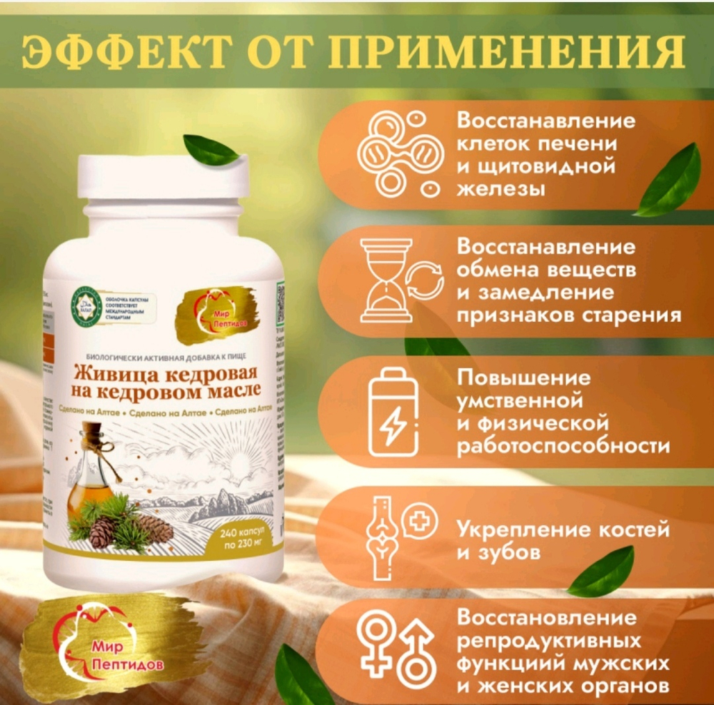 Живица кедровая на кедровом масле 240 капсул