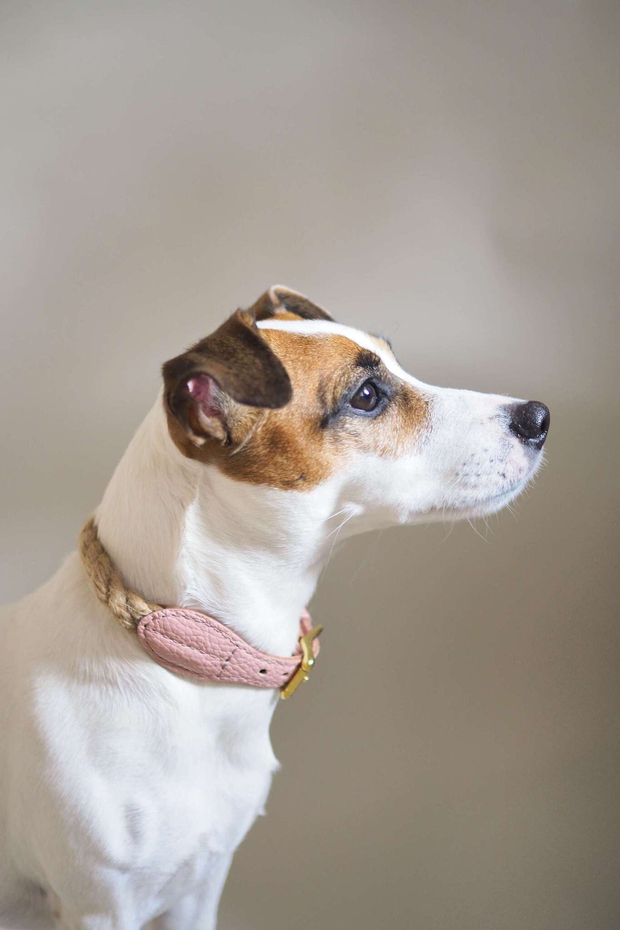 Ошейник "Кантри-пони" Розовый (льняной канат)