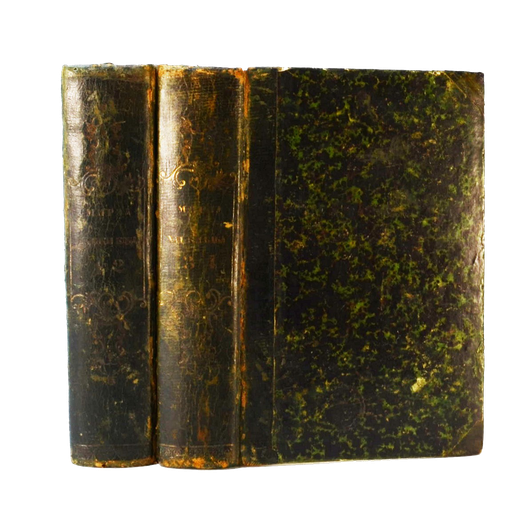 Джеймс Мориер. Мирза Хаджи-Баба Исфагани. 4 т. в 2-х кн. Перев. Брамбеуса, 1845.