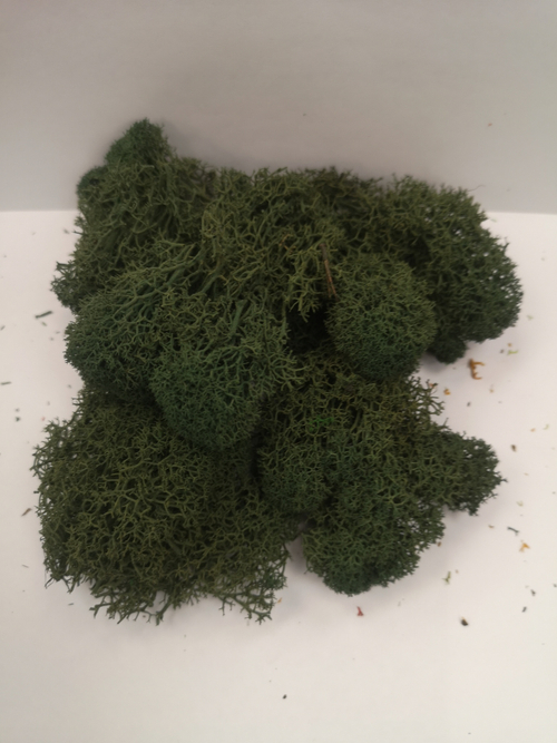 Мох для изготовления кустов и деревьев (серо-зеленый)
