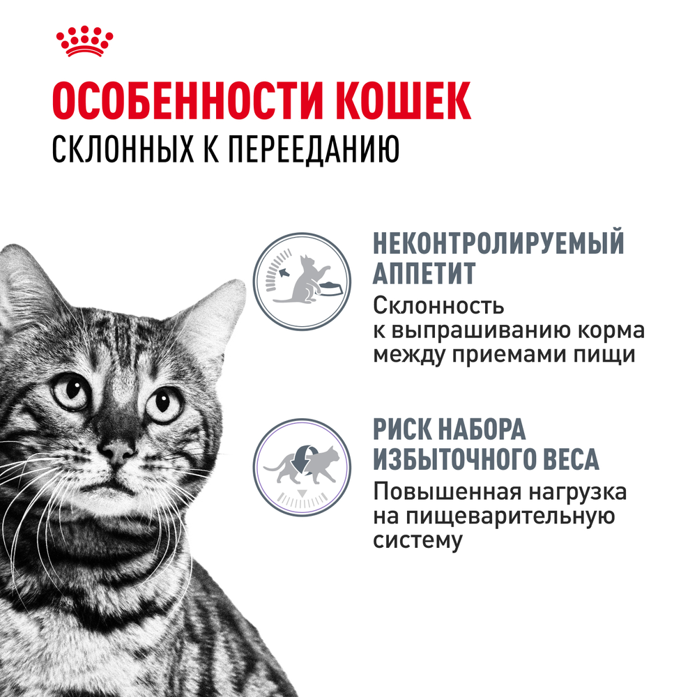 Royal Canin Appetite Control Care Аппетайт контрол кэа Корм сухой для взрослых кошек контроль выпрашивания корма 2кг