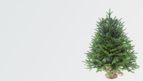 Искусственная ель Норвежская