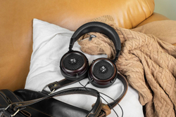 Наушники полноразмерные Radiotehnika Feylon Black