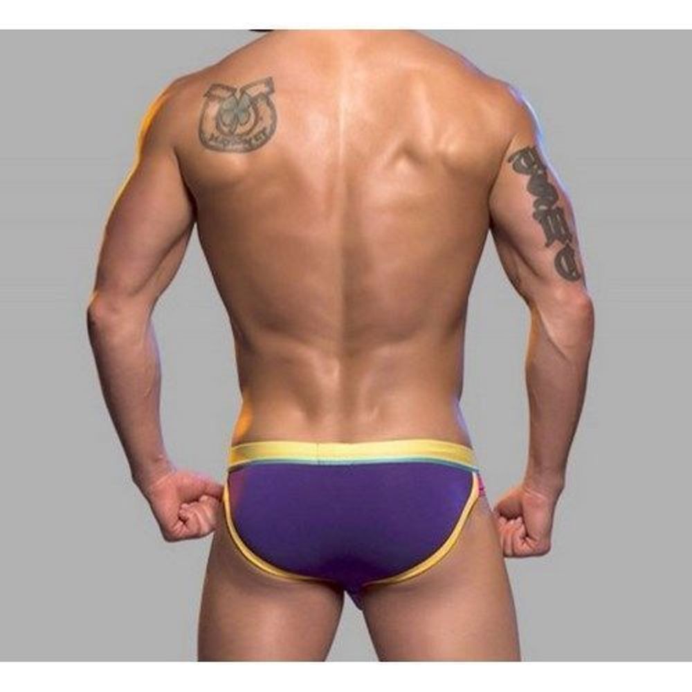 Мужские трусы брифы фиолетовые Retro Pop Reveal Andrew Christian Purple   AC9612