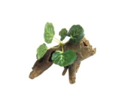 Коряга с растением 14,5*8,5*12,5см