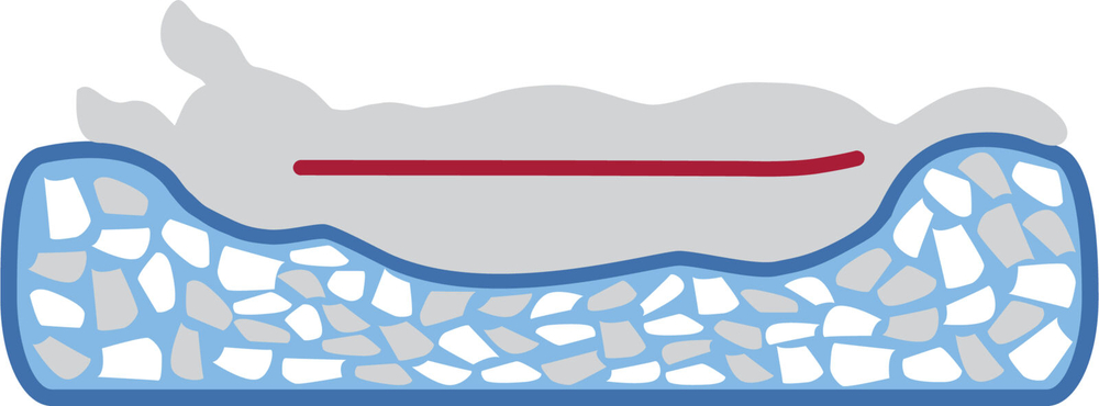 Лежак Jonna vital, прямоугольный с бортиком, 100 х 70 см, шалфей, Trixie