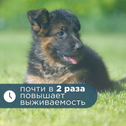 Таблетки от сердечной недостаточности у собак Ветмедин S 1,25мг Пимобендан, 2 упаковки по 50 таблеток