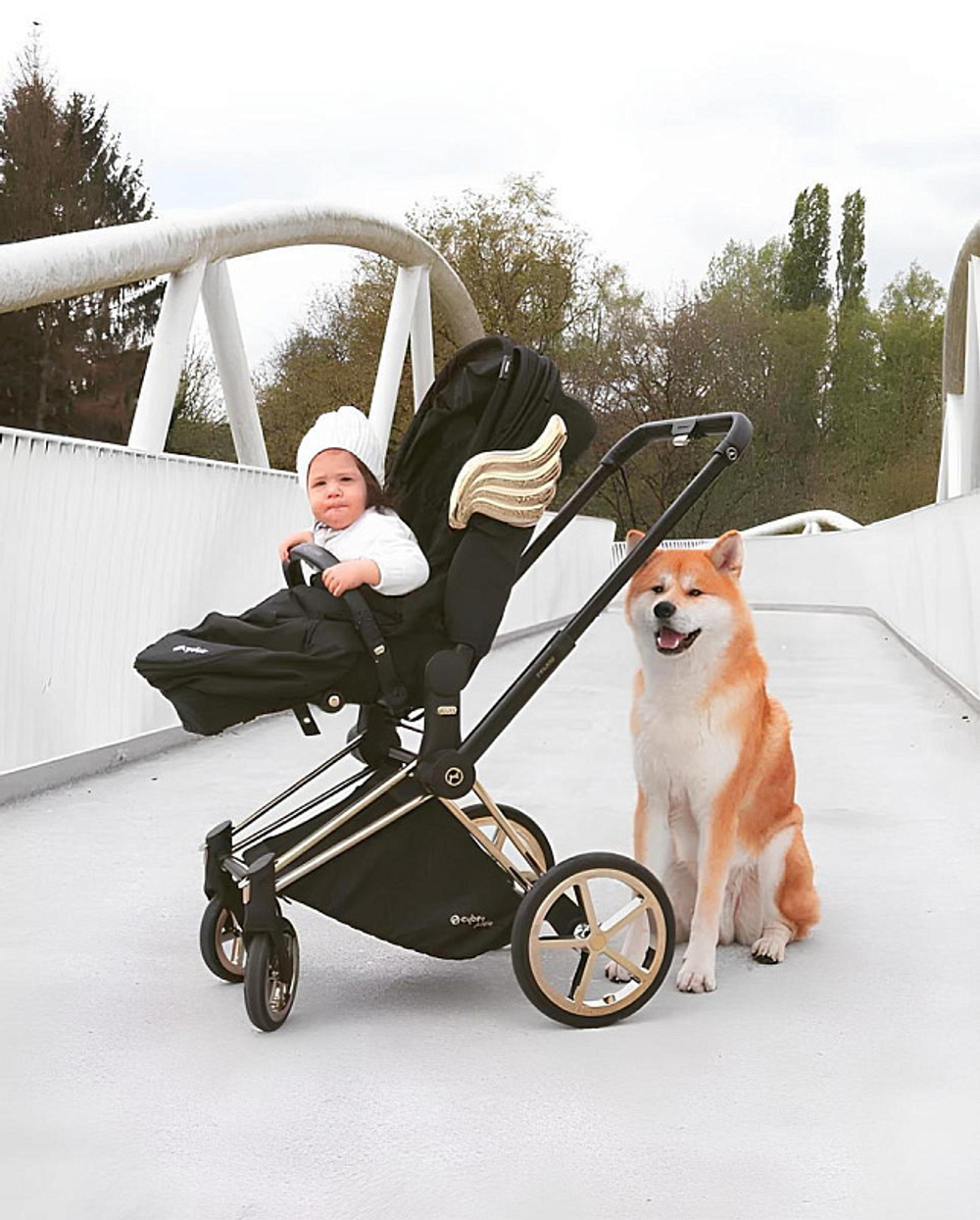 Коляска 2 в 1 Cybex Priam IV 2 в 1 Jeremy Scott Wings