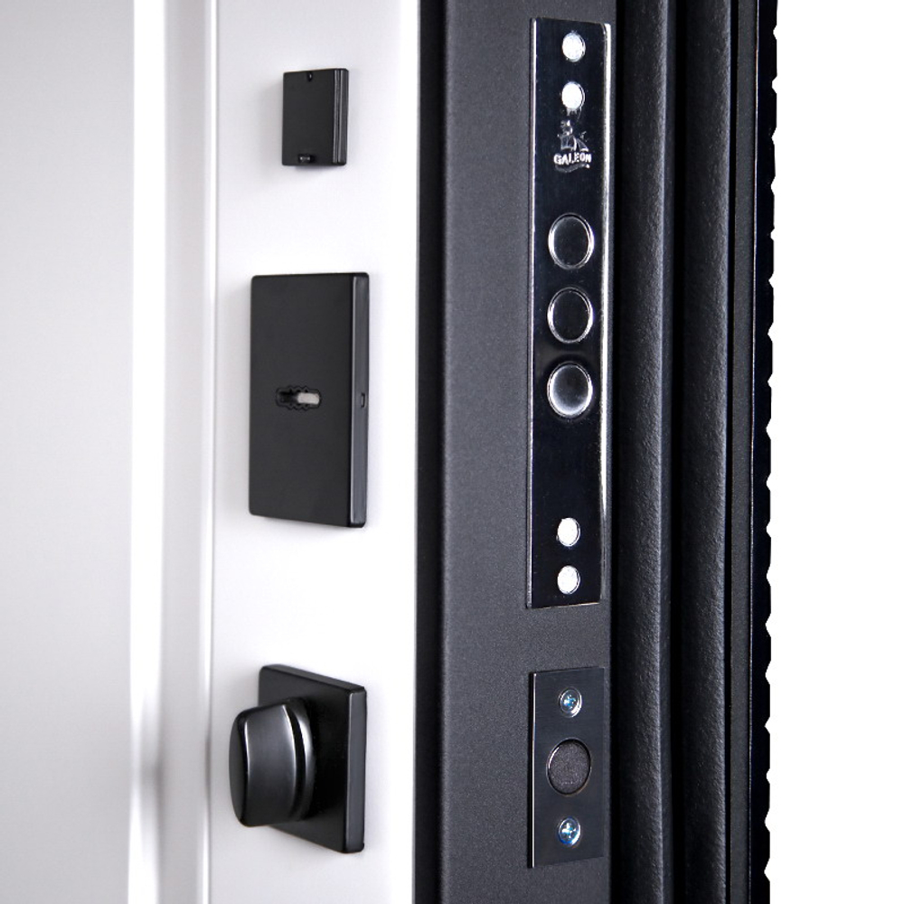 Стальная дверь "Берилл" (биометрический замок Y12). Заказная модель.