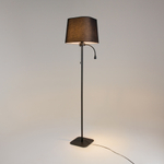 Напольный светильник (торшер) Maytoni Z001FL-L3W-1B