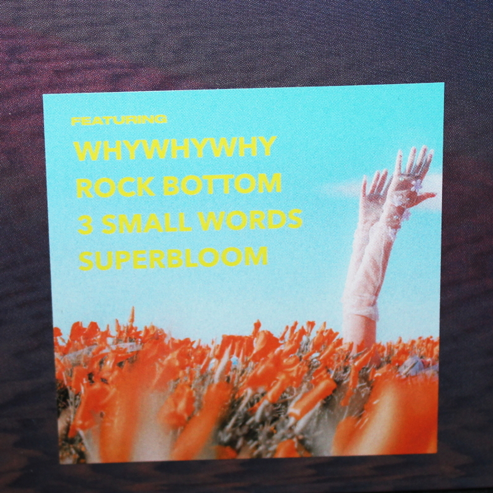 MisterWives / Superbloom (Coloured Vinyl)(2LP)