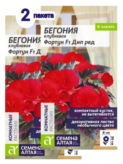Семена Бегония Фортун F1 красная
