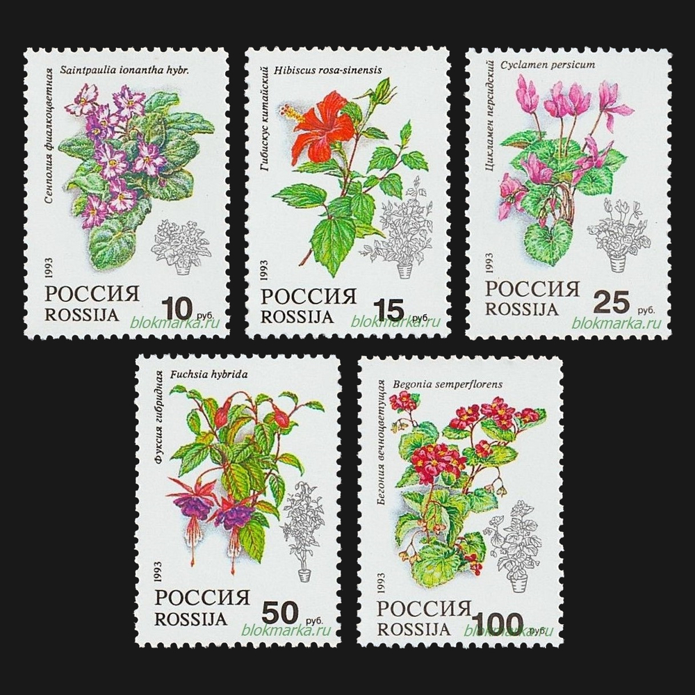 Россия 1993 г № 77-81 Серия Флора Комнатные растения Чистая MNH **