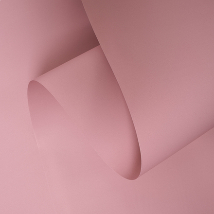 ЛИСТ ПЛОТНЫЙ ФЛОРАНС 58*58/20шт ПУДРА