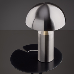 Настольный светильник Freya FR5218TL-02N