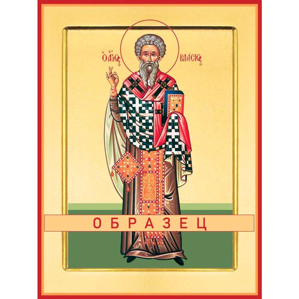 Священномученик Власий, епископ Севастийский Мч-83 (сщмч/В/2/1)