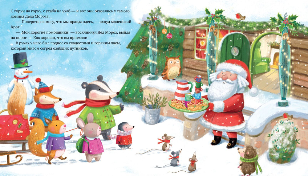 Книжки-картинки. Дед Мороз спешит на помощь!
