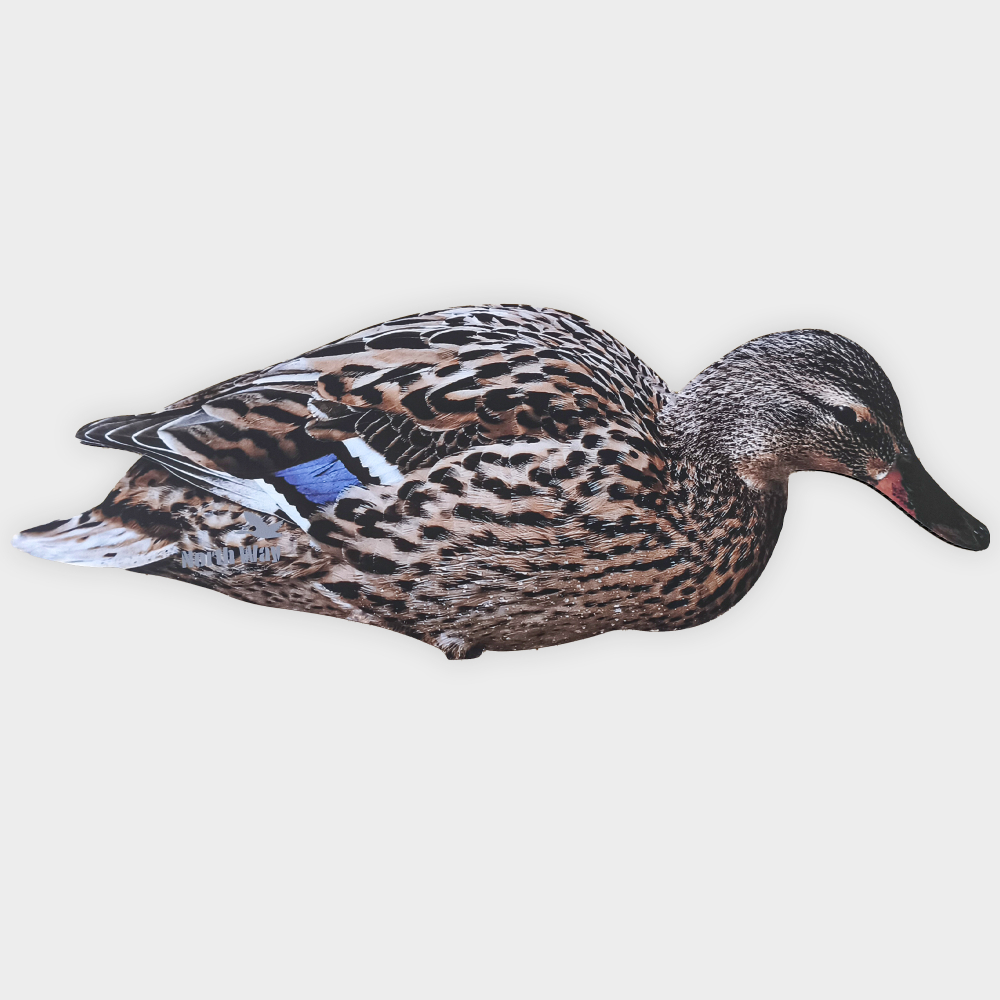 Кряква полевая (плоская) 12 шт.