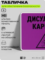 Табличка для обеспечения безопасности "Дисульфид карбона", для производства, предприятия, организаций, 40х30 см, Silver Plane x Айдентика Технолоджи