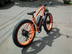 Электрофэтбайк El-sport bike TDE-08 500W