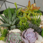 Готовый флорариум с суккулентами Laaroom Икос