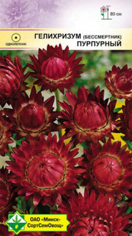 Гелихризум "Пурпурный" 0.2г., Германия.