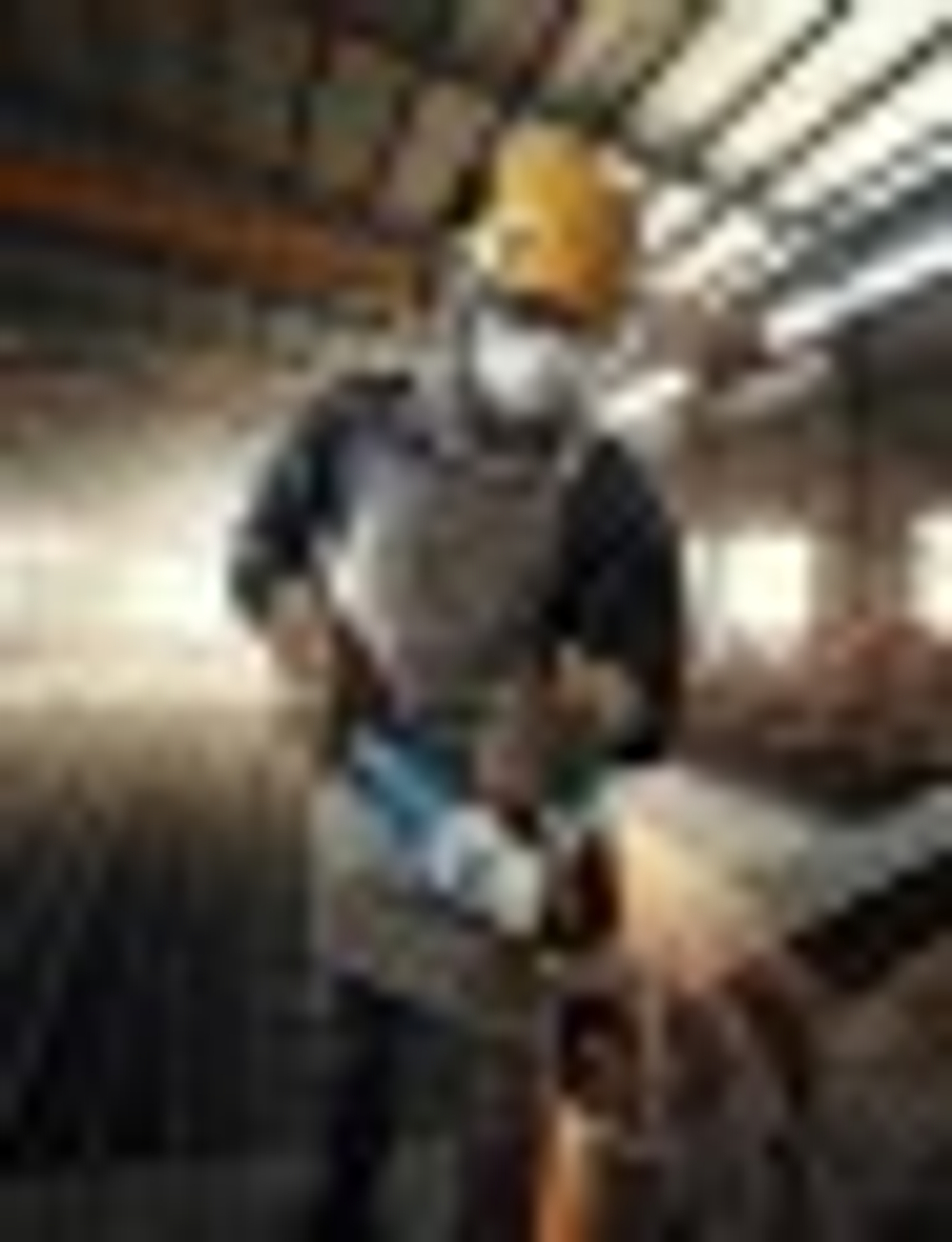 Угловая шлифмашина сетевая BOSCH GWS 30-230 B 06018G1000