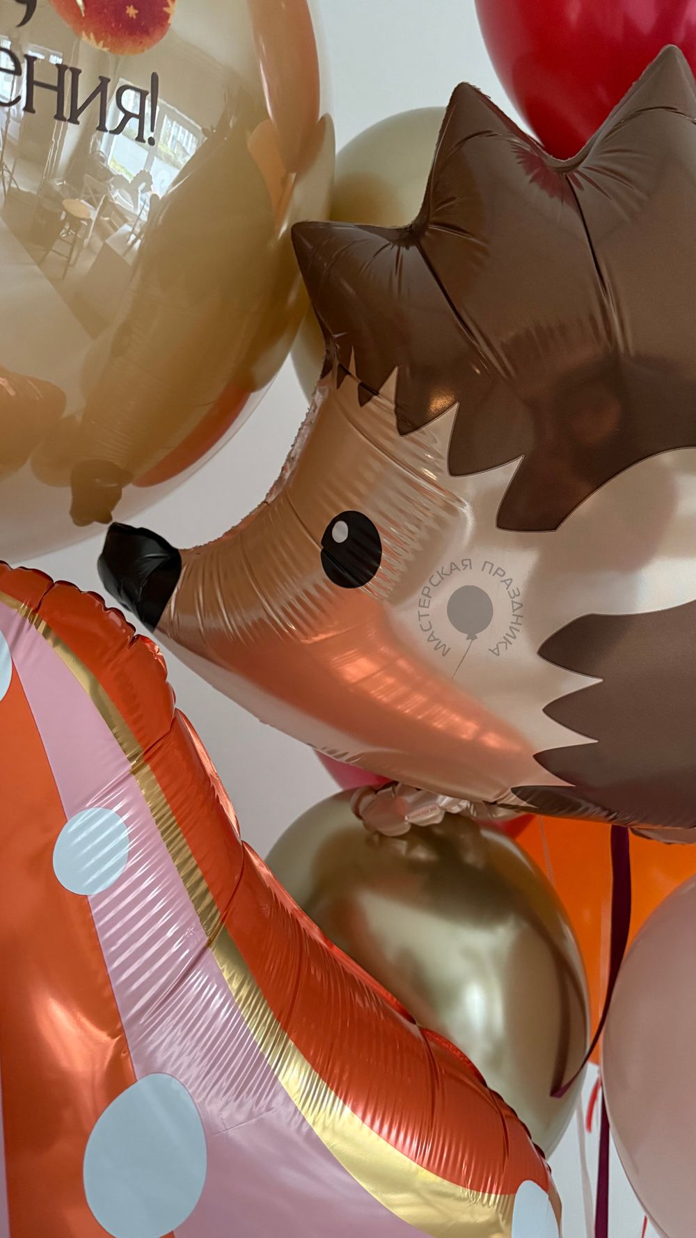 Воздушные шары для девочки №8854  Изображение5