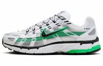 Кроссовки Nike P-6000