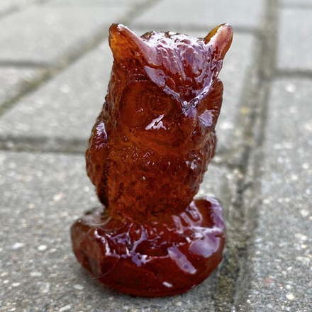 Филин хмурый