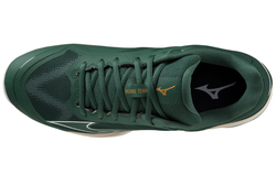 Мужские кроссовки теннисные Mizuno Wave Exceed Light CC - pineneedle/white/papyrus