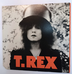 Винтажная виниловая пластинка T. Rex The Slider (USA 1975)