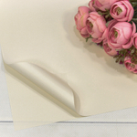 Пленка В листах 20 шт 60 х 60 см "Корейская" (Белый)