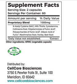 KL Support kidney liver