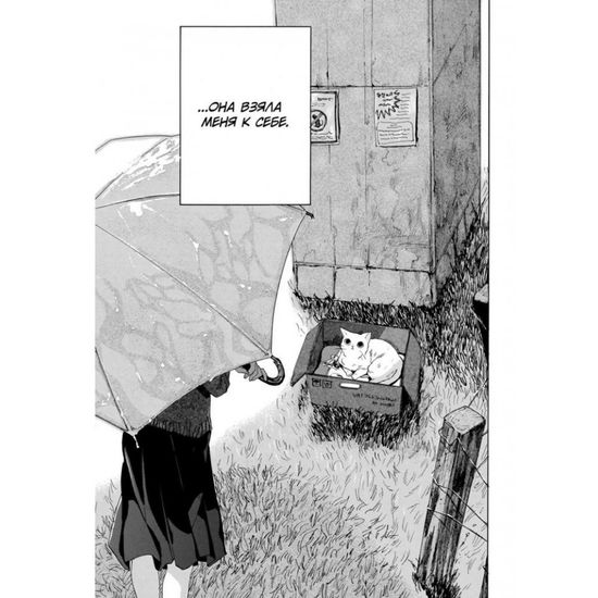 Манга Она и её кот