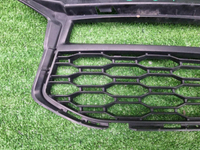 Решетка перед. бампера BMW 5er G30 (17-20) M-paket