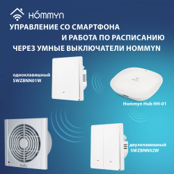 Вентилятор вытяжной Ballu Power Flow PF-100T