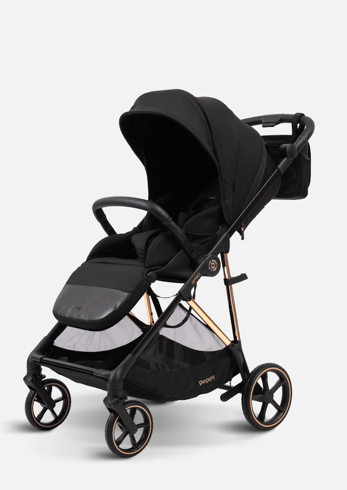 Peppy Коляска прогулочная Amici (Black) рама Gold (LX)