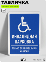 Табличка для парковки "Инвалидная парковка", для дома, офиса, организаций, 40х30 см, Silver Plane x Айдентика Технолоджи