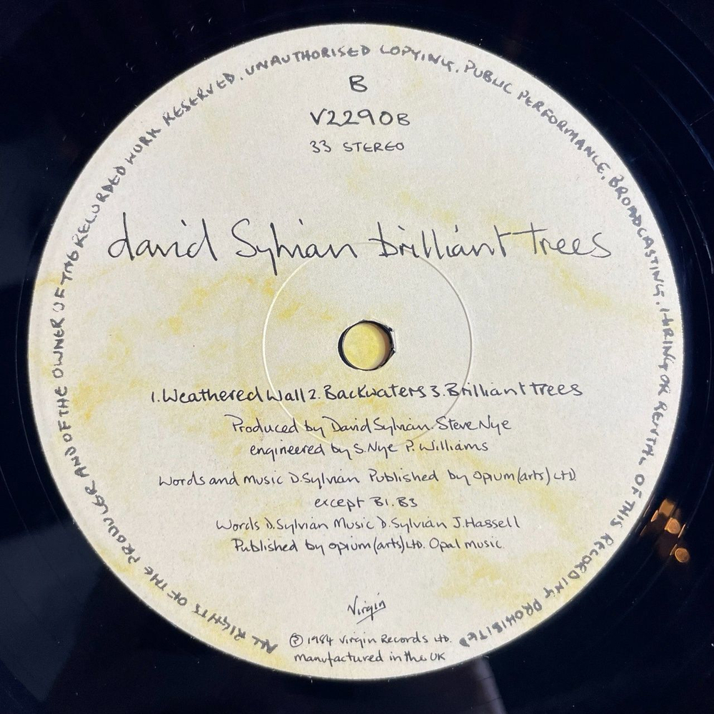 Винтажная виниловая пластинка LP David Sylvian Brilliant Trees (UK 1984)