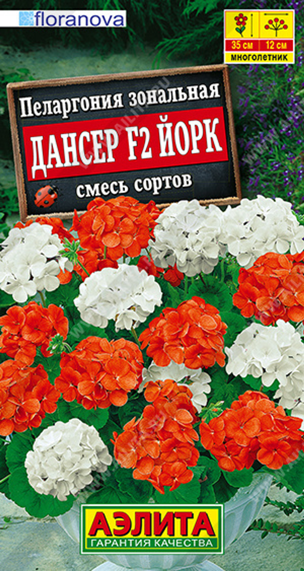 Пеларгония Дансер Йорк F2, смесь сортов 5шт Аэлита