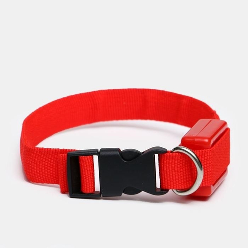 Ошейник светящийся узкий для небольших собак, 3 режима, 26см, Красный