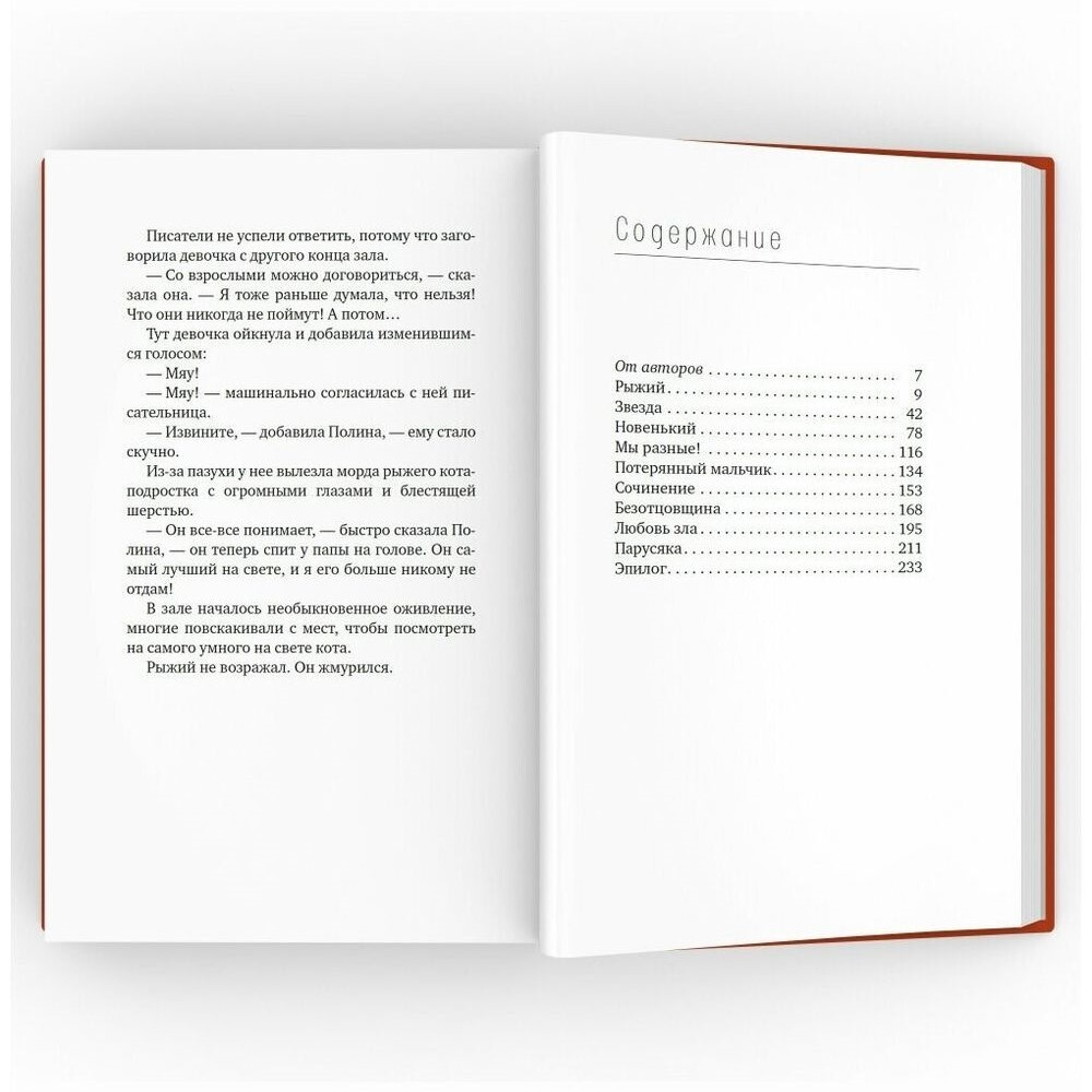 Банальные истории